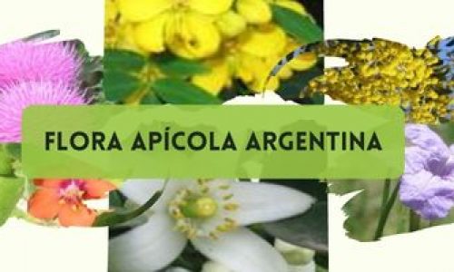 Flora apícola argentina. Parte VIII