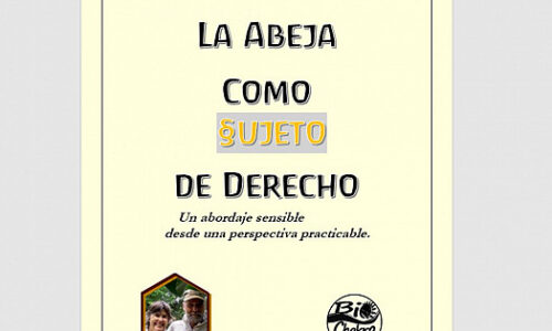La abeja como sujeto de derecho. Entrevista a Cristian Stehmann
