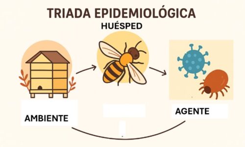 Los virus que afectan a las Abejas. ¿Un problema invisible? (1ra parte)