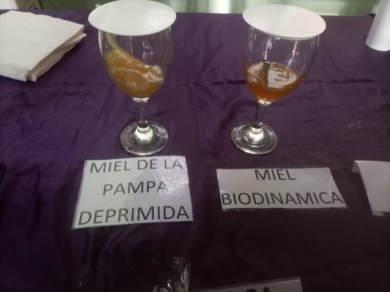 Cata de mieles en el Día mundial de la abeja, Facultad de Veterinaria, UBA