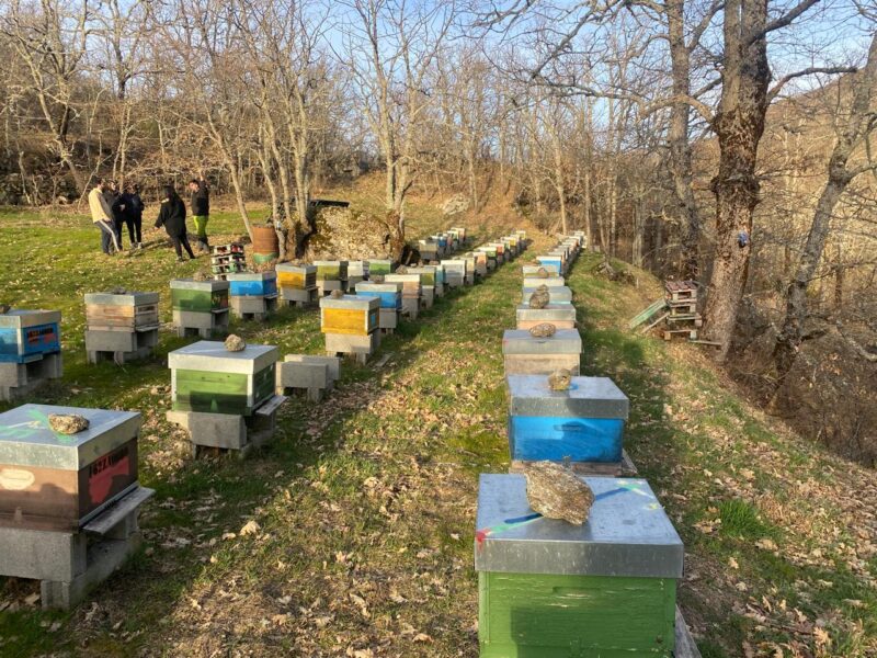 Apiario de los altos de Sanabria Apiario de los altos de Sanabria