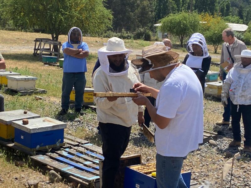 WhatsApp Image 2024-11-14 at 15.50.11 (7) WhatsApp Image 2024-11-14 at 15.50.11 (7)