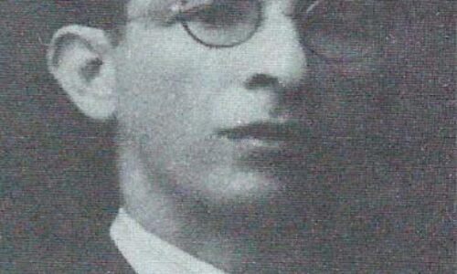 Panal de letras. Un panal colmado de néctar de cuentos, polen de novelas, propóleos de recuerdos, historias y poemas del dulce mundo de la miel.