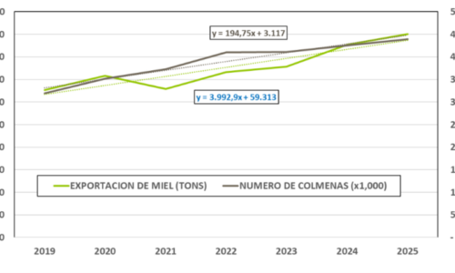 Mercado de la miel: Aparente estabilidad de precios en un momento con muchos interrogantes.
